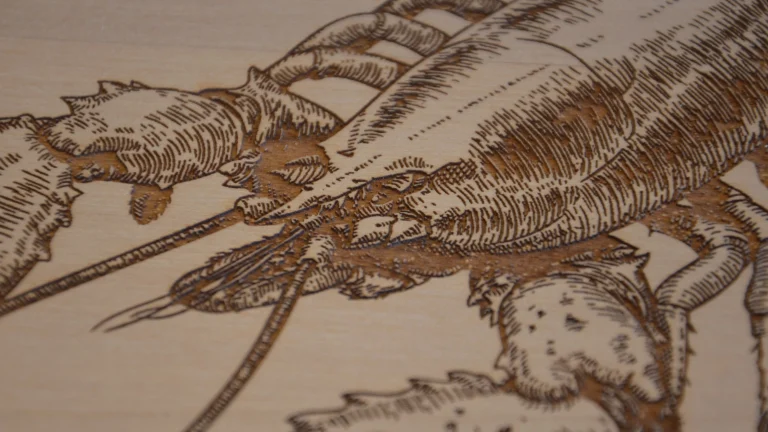 Gravure d'un homar sur bois de l'atelier Celtic Gravure